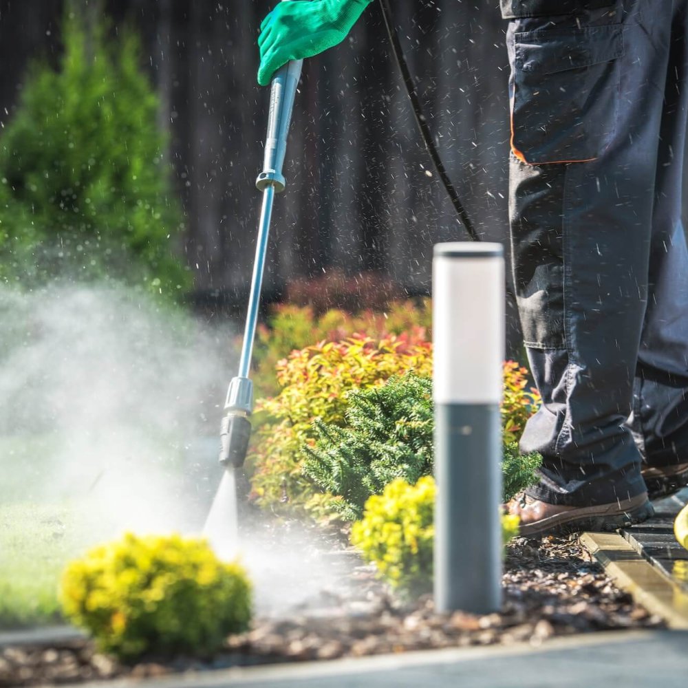 Backyard Garden Cleaning